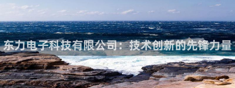 东力电子科技有限公司：技术创新的先锋力量
