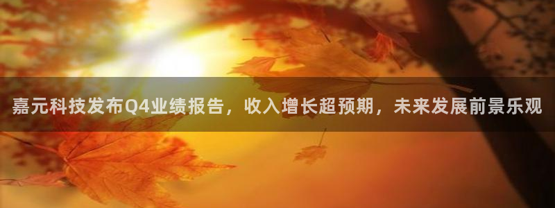 嘉元科技发布Q4业绩报告，收入增长超预期，未来发展前景乐观
