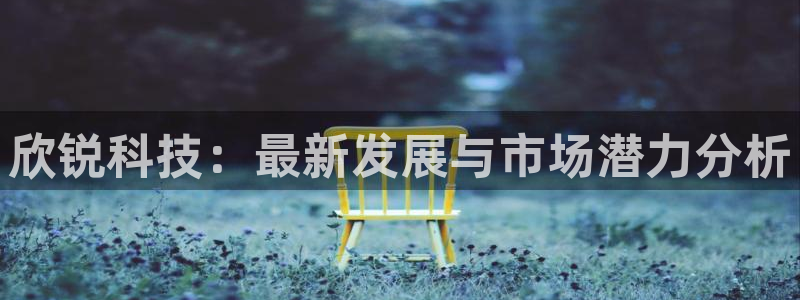 欣锐科技：最新发展与市场潜力分析