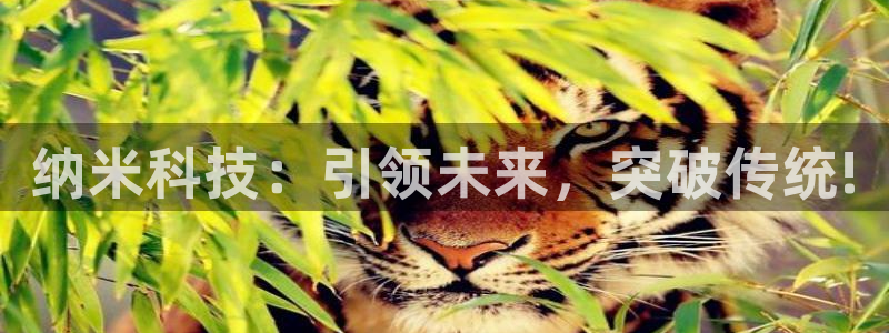 纳米科技：引领未来，突破传统!